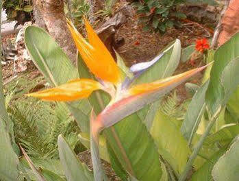 Baldwin'S Guest House Cozumel Luaran gambar